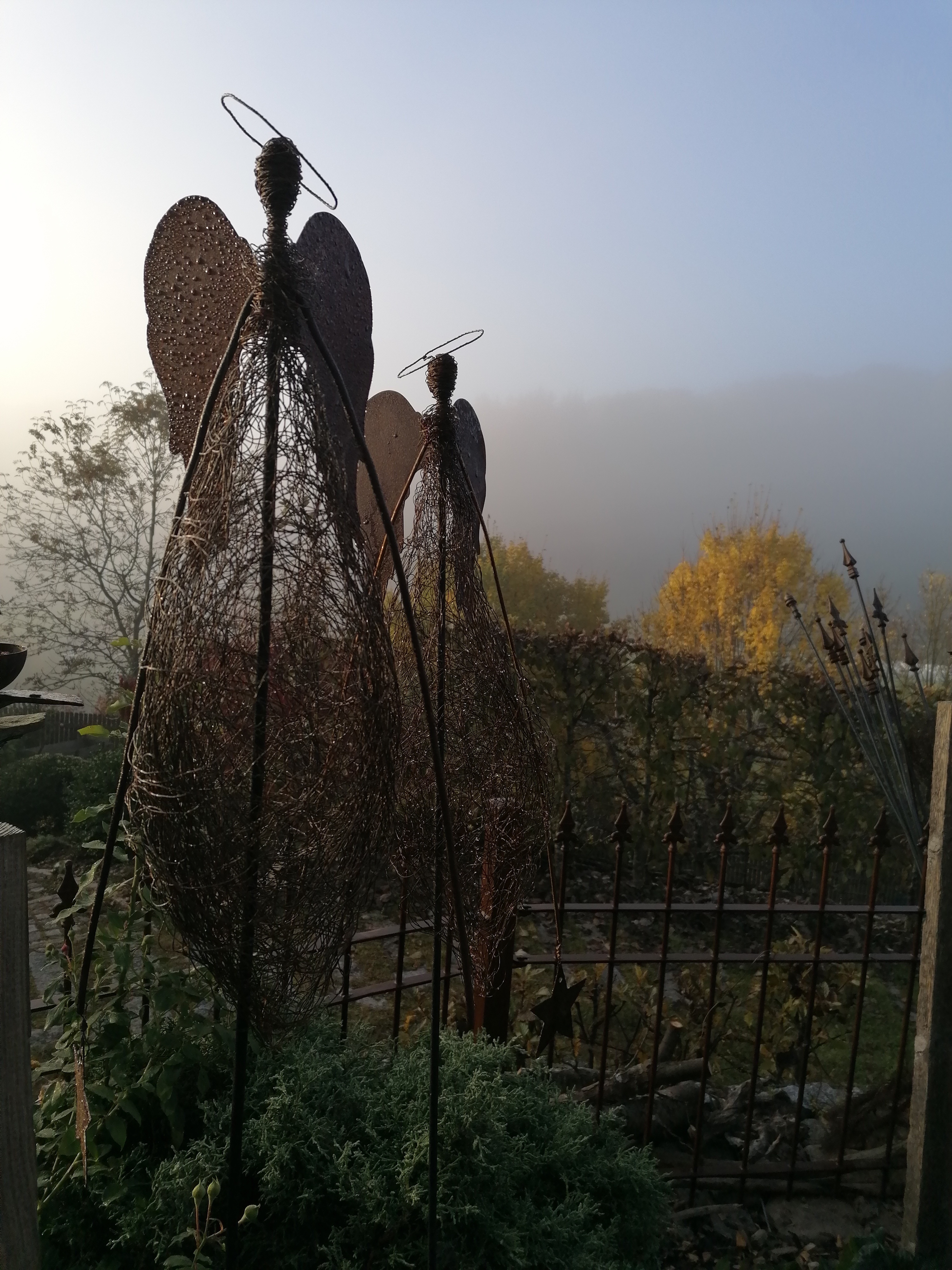 Garten 11
